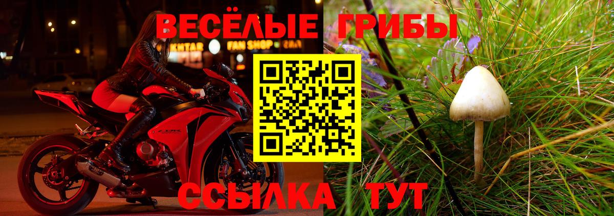 Галлюциногенные грибы GOLDEN TEACHER Буйнакск