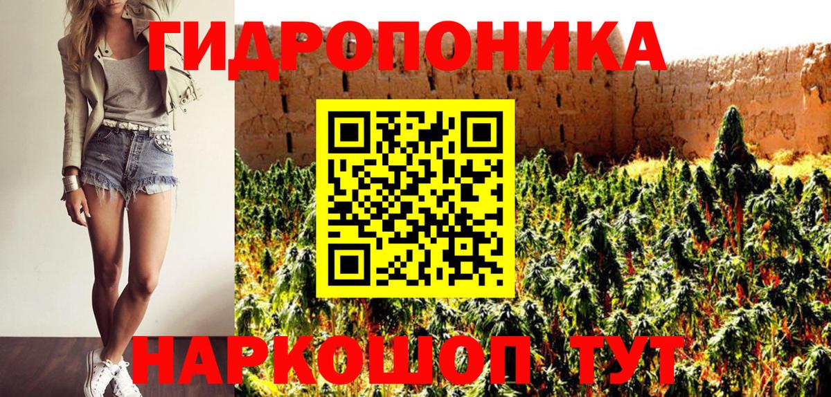 Канабис тримм  Вход с VPN  Марихуана MAZAR  Буйнакск 
